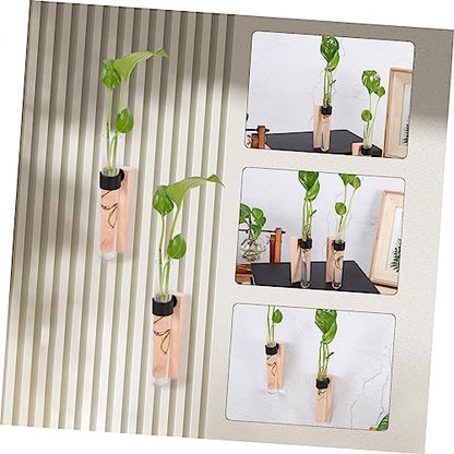Happyyami Hanging Hydroponic Planter Set Air Plant Wall Holder Indoor Plant Vase Wall Mount Propagation Station