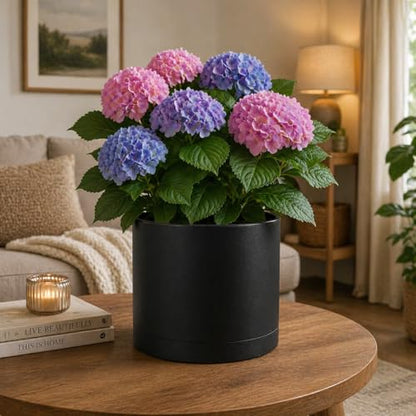 Giraffe Creation 14 Inch Cylinder Plant Pot, Modern Round Planter with Drainage Holes and Saucer, Durable Plastic Flower Pot for Indoor Outdoor Plants, Black - color: Black 14 Inch