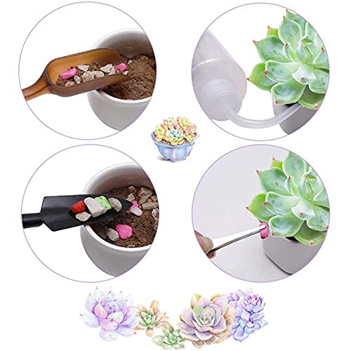 13PCS Miniature Gardening Tools Set Wooden Handle Iron Heads Potted Plants Transplanting Watering Garden Hand Tool Kit
