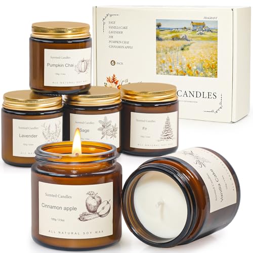 6-Pack Jar Scented Candles for Home Scented - Home Decorative Candles Gift Set, 3.5oz Soy Wax Candles for Living Room, Bathroom, Kitchen, Housewarming Gifts & Birthday Presents - color: Vanilla Cake,Lavender,Cinnamon apple,Warm Amber