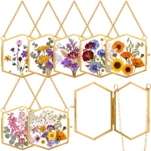 Leinuosen 8 Pcs Pressed Flower Frames Dried Flower Hanging Glass Frame 3.7'' x 3.3'' Vintage Brass Hexagon Floating Double Picture Artwork Display for Photo Picture DIY Home(Gold) - color: Gold