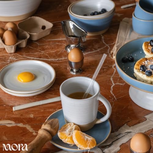 Mora Medium Dishes Set of 4, 35oz Ceramic Pottery Pasta Plate/Wide Bowls - Microwave, Oven and Dishwasher Safe - Sky - color: Sky