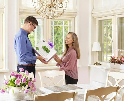 Click & Grow Indoor Herb Garden Kit with Grow Light | Smart Garden for Home Kitchen Windowsill | Easier Than Hydroponics Growing System | Vegetable Gardening Starter (3 Basil Pods Included), Grey | Easier than a hydroponic growing system. Patented Smart S