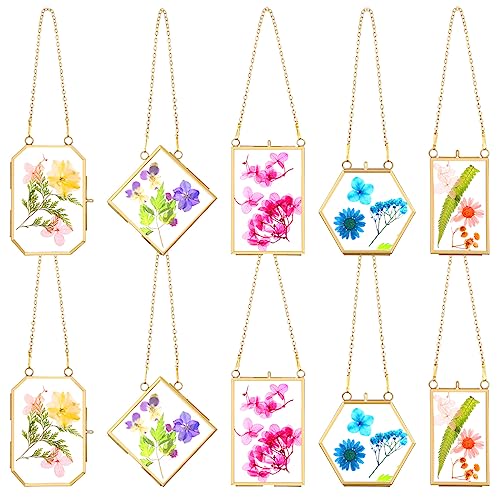 BBTO 10 Pcs Glass Frame for Pressed Flowers 5 Different Shapes Brass Hanging Picture Frame with Chain Pressed Flower Glass Photo Frames for Artwork Frame Home Wall Decor Plant Specimen (Gold) - color: Gold