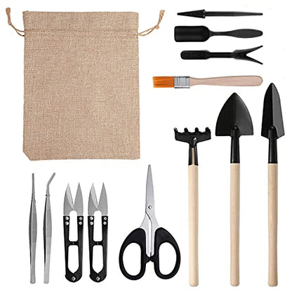 Haofy 13PCS Mini Gardening Tools Set for Succulents Planting Transplanting Tool Kit with Stainless Steel Scissor Tweezers Brush for Bonsai Indoor Plants