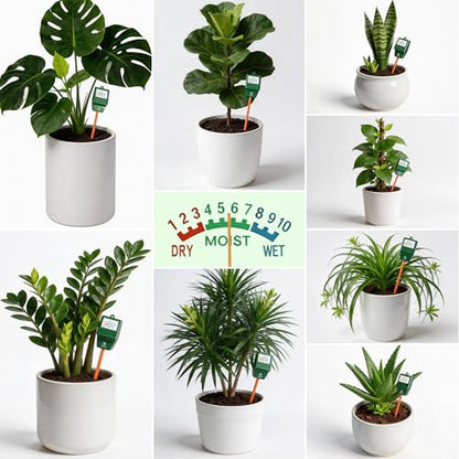 2 Pack Soil Moisture Meter, Plant Water Meter Hygrometer | Instant Read Soil Water Level, No More Guess, No Battery Required, Easy to Read & Use, Durable, Indoor Potted/Outdoor Plants