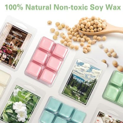 Summer & Spring Scented Wax Melts, Flower and Leaf Scented Wax Melts | Soy Wax Cubes for Wax Warmer, 6 x 2.5oz - color: Natural Plant