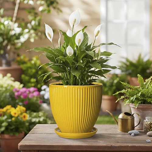 6 Inch Plant Pot, Ceramic Planter with Drainage Hole and Saucer, Decorative Small Plant Pots for Indoor Plants, Modern Round Flower Pot, Home Office Room Decor, House Warming Gifts, Yellow - size: 6 Inch, style: Yellow