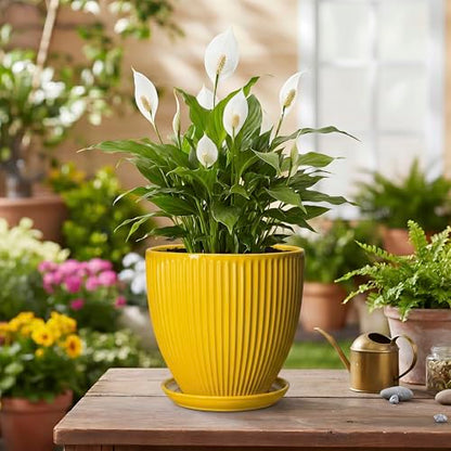 6 Inch Plant Pot, Ceramic Planter with Drainage Hole and Saucer, Decorative Small Plant Pots for Indoor Plants, Modern Round Flower Pot, Home Office Room Decor, House Warming Gifts, Yellow - size: 6 Inch, style: Yellow
