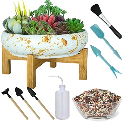 ARTKETTY Bonsai Pots, 10 Inch Large Succulent Pots with Drainage Stand | Ceramic Plant Pots with 2.2lb Mix Pebbles, Planting Tools Set for Beginner, Shallow Planters for Indoor Cactus Flower Plants - color: White&golden With Tools