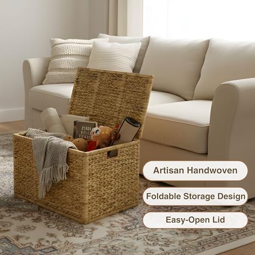 30 in Wicker Storage Trunk with Lid, Removable Liner, Natural | Handwoven Organizer with Metal Hinges That Doubles as a Toy Chest and Large Blanket Keeper
