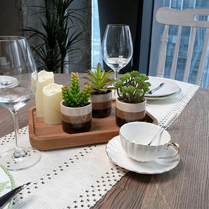 Small Artificial Plants in Pots, Set of 3 Faux Succulents | Mini potted greenery in glossy ceramic pots. Lifelike, maintenance-free shelf, desk & living room decor accessories