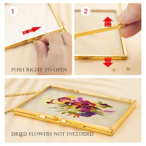 3 Pcs Pressed Flower Frames with Tweezers, Wall Hanging Double Glass Frames with Metal Chain for Pressed Dried Flowers Plants, Golden - color: Gold-3