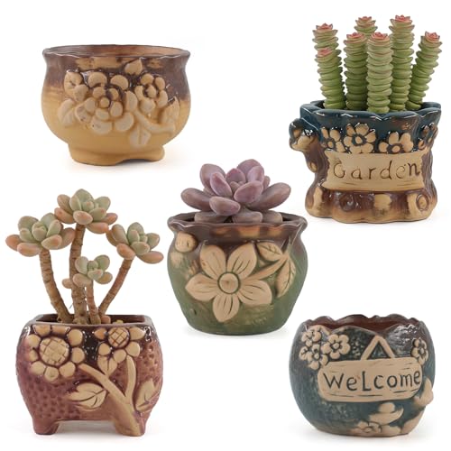 Succulent Ceramic Garden Pots Small Plant Planter Container with Drainage Set of 5 for Home Office Decor - color: C 5-piece Set