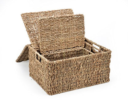 Trademark Innovations Set of 3 Rectangular Seagrass Baskets with Lids, Natural (Small) - color: Natural