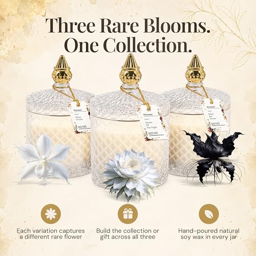 VIONAMI Black Bat Rare Flower Fragrance Luxury Scented Candle Gift | Decorative Soy Candles Birthday Gifts for Women, Elegant Glass Jar, 14.8oz, 80Hr Long Lasting Burn, Luxury Candles for Women