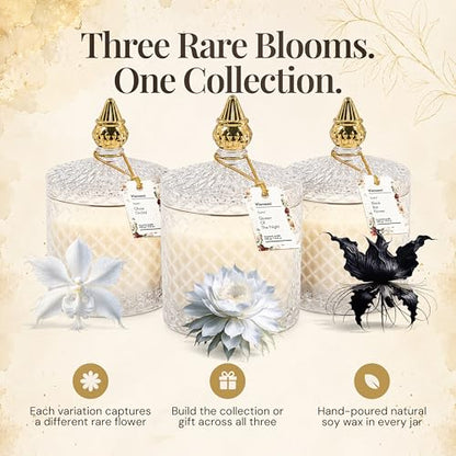 VIONAMI Black Bat Rare Flower Fragrance Luxury Scented Candle Gift | Decorative Soy Candles Birthday Gifts for Women, Elegant Glass Jar, 14.8oz, 80Hr Long Lasting Burn, Luxury Candles for Women