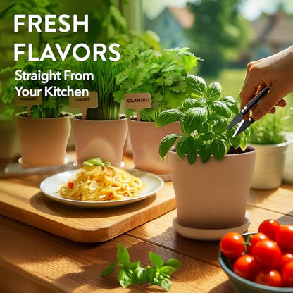 HOME GROWN Herb Garden Planter Indoor Kit – Unique Christmas Gift for Adults, Men, & Women - Grow 4 Heirloom Herb Seeds on Kitchen Window – Beginner DIY Craft & Hobby Gardening Gift for Plant Lovers - style: Starter Herb Grow Kit
