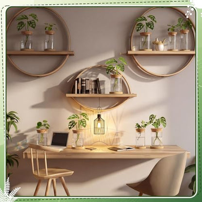 Hushee 12 Pcs Plants Propagation Stations Glass Propagation Jars with Hole Lid Hydroponic Terrarium Vases Gifts for Plant Lovers Home Indoor Office Tabletop Decoration, 2 Sizes