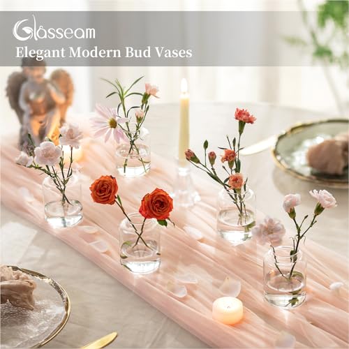 Glasseam Bud vases Set of 6: Glass Vases for Centerpieces Modern Small Vases for Home Table Shelf Wedding Party Decoration - Clear Vase for Flowers Stem Roses Tuilps Cuttings - size: 6Pcs