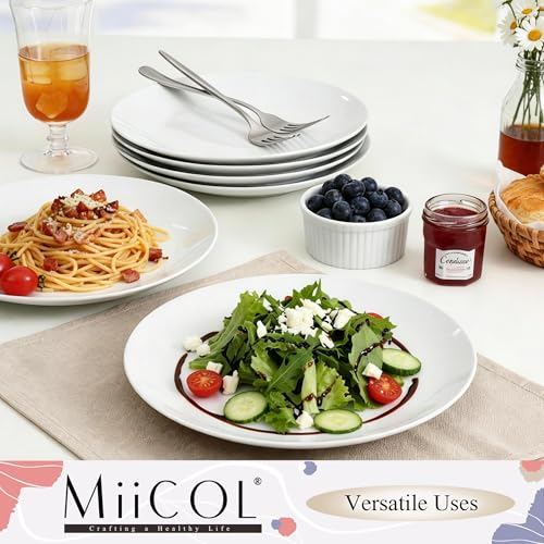 Miicol Ceramic Dinner Plates Set of 6, White Dessert Plates 9 Inch, Modern Round Porcelain Dishes for Steak, Pasta, Salad, Fruit, Microwave & Dishwasher Safe, Stackable - color: White 9 Inch