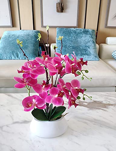 W&W Artificial Orchid Plants and Flowers with Vase, Fake Faux Orchid in Ceramic Pot,17”, Fuchsia - color: Fuchsia 02