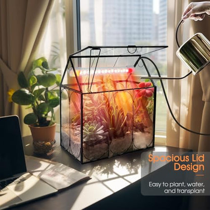 RIFNY Plant Terrarium with Grow Light, Glass Terrarium 8.9 x 5.9 x 9.9 Inch | Terrarium with LED Grow Light and Absorbent Mat for Venus Fly Trap Succulent Live Air Plants Indoor Home Office Decor - size: Black-Large with Plant Light