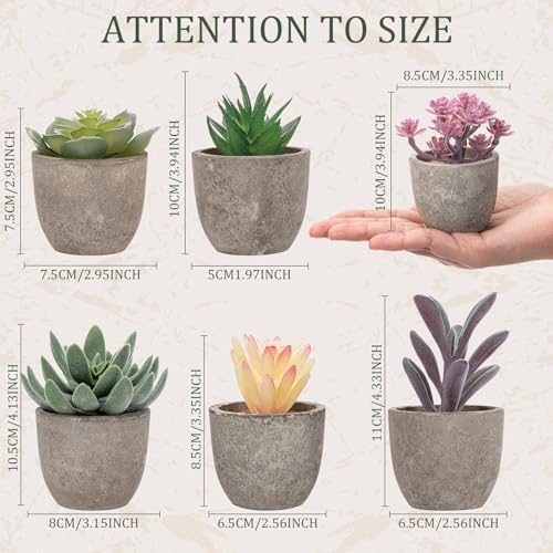 Set of 6 Artificial Succulents Potted - Realistic Mini Fake Cactus Plants in Paper Pulp Pots, 2-4'' Mixed Sizes for Farmhouse Shelf, Bathroom, Coatrack Shelf, Bedroom Indoor(Classic Style) - style: Classic Style