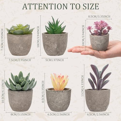 Set of 6 Artificial Succulents Potted - Realistic Mini Fake Cactus Plants in Paper Pulp Pots, 2-4'' Mixed Sizes for Farmhouse Shelf, Bathroom, Coatrack Shelf, Bedroom Indoor(Classic Style) - style: Classic Style