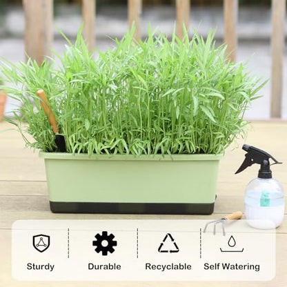 Window Box Planter 8 Pcs, 17 Inches Rectangle Flower Pots with Drainage Holes & Trays, Vegetable Planters for Windowsill Patio Garden Balcony Home Indoor Outdoor (Light Green, 16 * 7 * 6 inch) - color: Light Green