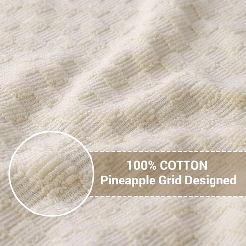 Homaxy 100% Cotton Terry Dish Cloths, 12"x12", 6-Pack, Beige | Ultra Soft Absorbent Dish Towels with Hanging Loop, Pineapple Grid Designed - color: Beige, size: 12 x 12 - 6 Pack
