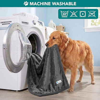 PetAmi Dog Blanket Small Medium Pet Cat Puppy Kitten, 40x29 Mini Solid Gray | 460 GSM, Soft Sherpa Fleece Throw, Reversible Plush Couch Cover Protector Crate Carrier Sofa Bed Car Seat, Machine Washable - color: Gray/Gray Sherpa, size: Medium - 29 X 40 Inc