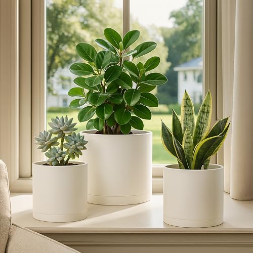 D'vine Dev 3-Pack Plastic Pots & Saucers, 6/6.5/8 in, Oatmeal, 74-V-H-3 | Multi-Size Options, Lightweight Durable, Matte Finish, Cylinder Shape, Drainage Holes, Sleek Design, Detachable Saucer - color: Oatmeal, size: Medium