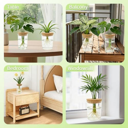 4 Pack Glass Plant Propagation Station,Desktop Vases for Home Office Decor | for Herb & Plant Cuttings, Fits Living Room Bedroom Office, Ideal Plant Lover Gift, Decorative Glass Planter Jars