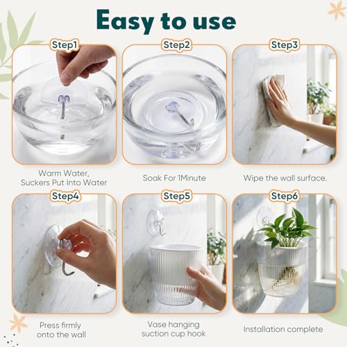 Hushee 4 Set Window Hanging Propagation Stations with Suction Cups Plastic Propagation Vases Propagated Plant Holder Wall Pots for Indoor Plants Office Home Garden Decoration Lover Gift (Clear) - style: Clear