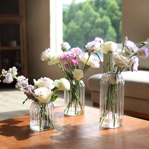 Bud Vases in Bulk Set of 6, Glass Small Vases for Flowers, Modern Cylinder Ribbed Vases for Wedding Centerpiece, Living Room Decorative, Home Decor
