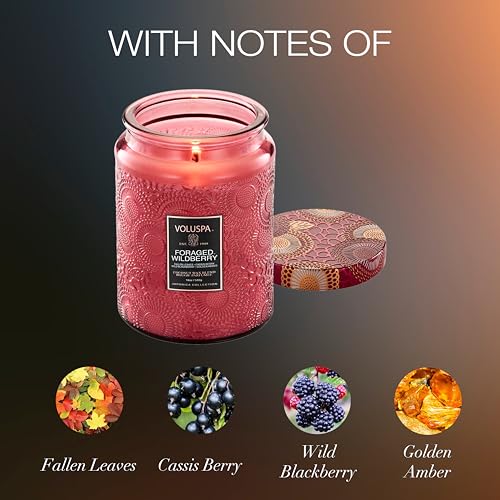 Voluspa Foraged Wildberry Large Jar Candle, 18 oz, Coconut Wax Blend, Berry Scented Candle for Home, 100 Hour Burn Time, Handcrafted in the USA - color: 18 - Foraged Wildberry