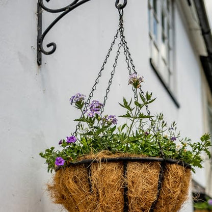 16 Inch Hanging Basket Chains 3 Point for Flower Pot | 3pcs, Black Chain with Hooks for Hanging Plants