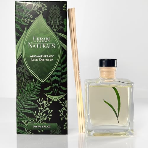 Reed Diffuser Set, Eucalyptus Sage - Bathroom Shelf Décor | Mint, Lime & Cedarwood Essential Oils, Relaxing scent, Sleek Rectangular Refillable Glass Bottle - color: Eucalyptus Sage