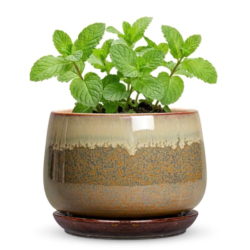 Ceramic Pots for Plants - 6 Inch Plant Pot Indoor with Drainage and Saucer, Round Planters for Succulent Snake Plants, Decorative Flower Pot, Home Decor, Plant Lover Gifts, Brown-Beige