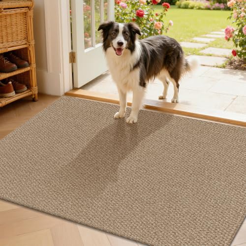 HEBE Cotton Woven Small Area Rug 2'x3', Washable Braided Indoor Door Mat | Non Slip Rubber Backed Entryway Rug, Neutral Low Profile Doormat Entrance Carpet for Front Porch, Bathroom, Kitchen - size: 2' x 3' (Rectangular)