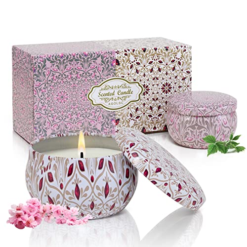 Aromatherapy Candles for Home Scented 2 Pack 2.5 oz Natural Floral Cherry and Vanilla Candles Set, Stress Relief Candles Gifts for Women, Portable Mini Candles Gift for Christmas, Birthday - color: Cherry + Vanilla