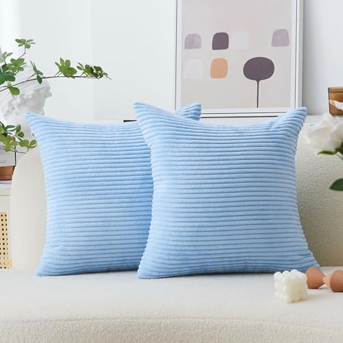 Home Brilliant Blue Throw Pillows for Couch 2 Packs Soft Cushion Covers Striped Velvet Throw Pillow Cases for Bed Living Room, 40x40 cm, 16 x 16 Inch, Baby Boy Blue - color: Baby Boy Blue, size: 16" x 16" (Pack of 2)