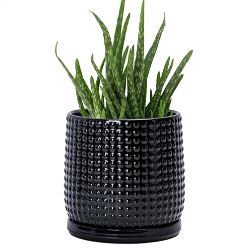 D'vine Dev Beaded Ceramic Pot with Saucer, 6 in, Glossy Black, 27-C-X-2 | Embossed Dot Texture, Smooth Glazed Finish, Timeless Vintage Charm, Drainage Holes, Stylish Accent for Modern Home Décor - color: Glossy Black, size: 5.8 Inch