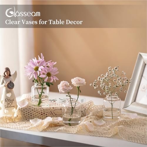 Glasseam Bud vases Set of 6: Glass Vases for Centerpieces Modern Small Vases for Home Table Shelf Wedding Party Decoration - Clear Vase for Flowers Stem Roses Tuilps Cuttings - size: 6Pcs
