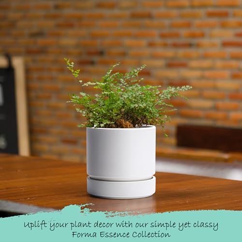 Phoenix Vine 4 Inch Planter Pot with Drainage Hole & Saucer, Deep Water Catch Tray, Straight Cylindrical Round Pot for Plants, Matte White, Pack of 3, 23-B-R-3 - color: Matte White, size: 4" (3 Pack)