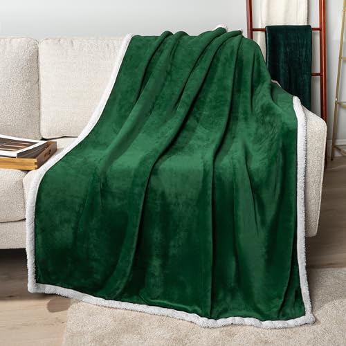 PAVILIA Sherpa Fleece Throw Blanket for Couch, Emerald Green, Plush Soft Fuzzy Sofa Blanket, Cozy Reversible Winter Throw for Women Men, 50x60 Inches - color: Emerald Green, size: 50 x 60 Inches - Throw