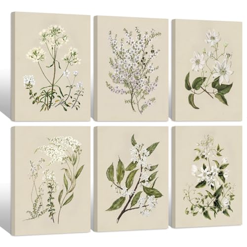 Vintage Botanical Wall Art Set of 6 Neutral Floral Canvas Wall Decor Wildflower Wall Art Watercolor Flower Prints Botanical Poster Minimalist Plant Pictures for Bedroom Room 8x10 Inch Wrapped Canvas - color: Neutral Floral Prints, size: 8x10 Inch Wrapped