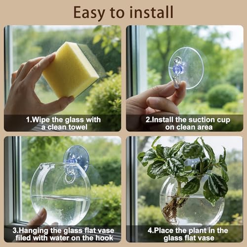 Window Propagation Stations, Oblate Glass Terrariums Planter with Suction Cup Hook, Wall Hanging Planters for Hydroponics Plants, Home, Office, Bathroom, Living Room Decor, Gift for Plant Lovers (2)