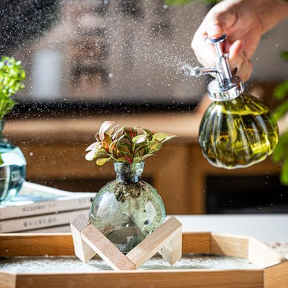 Plant Propagation Station, Plant Terrarium with Wooden Stand for Hydroponic Plant Propagation, Propagation Vases for Plants, Green Glass Bulb Vases for Home Office Decor (2)